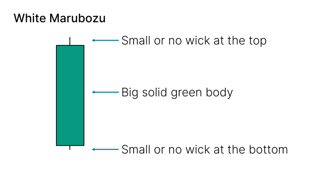 How to Identify a White Marubozu Candlestick Pattern?